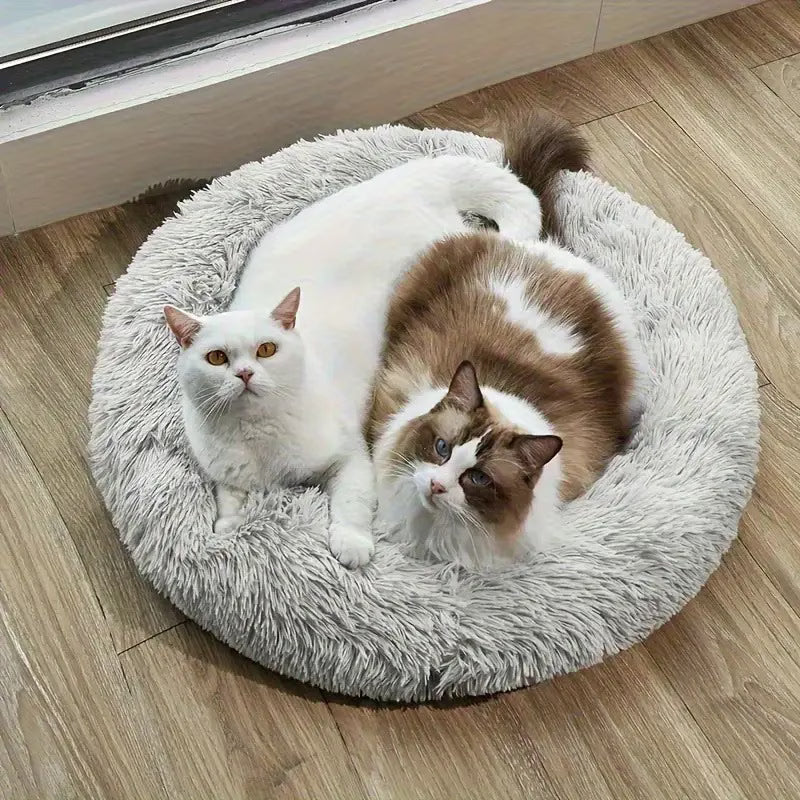 Pet