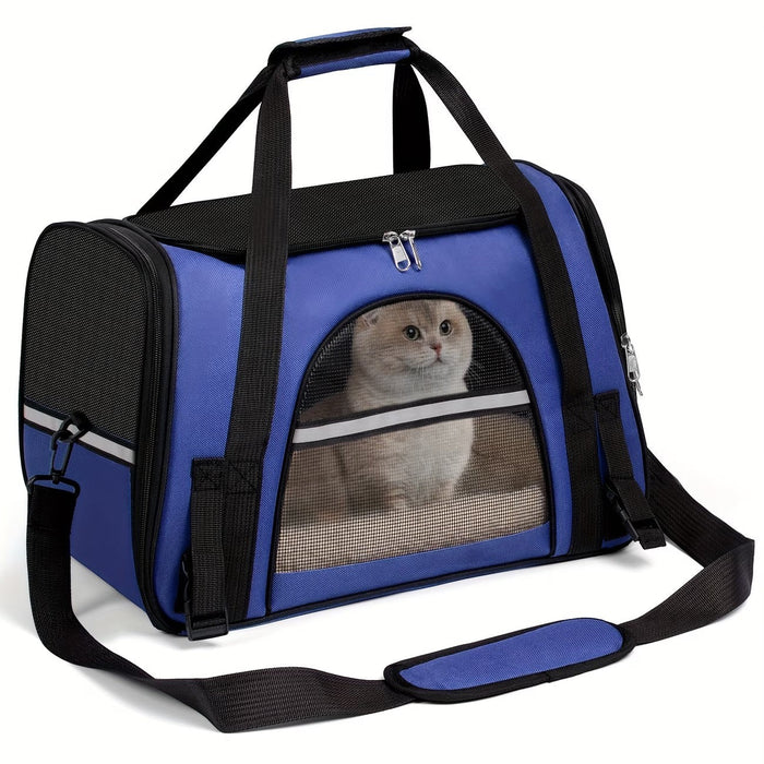 Blessing Sells blue ventilated cat carrier with mesh windows and a Scottish Fold cat inside.