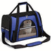Blessing Sells blue ventilated cat carrier with mesh windows and a Scottish Fold cat inside.