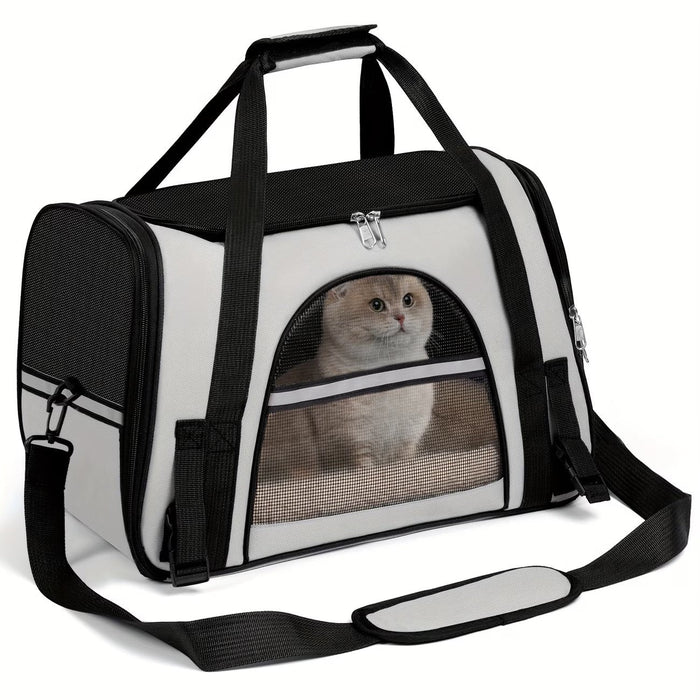 Blessing Sells white and black ventilated cat carrier with mesh windows and a Scottish Fold cat inside.