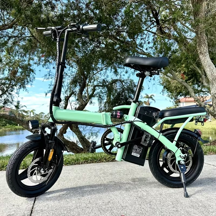 Folding Electric Bike with Removable Battery